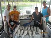 (08/10/2014) - Nice Striped Bass